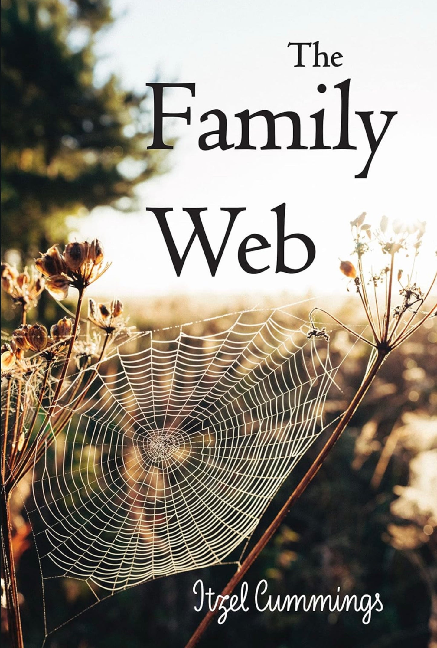 The Family Web (Signed Paperback)
